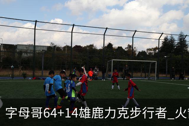 字母哥64+14雄鹿力克步行者 火箭擒灰熊4连胜